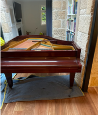 removalists moving Grand Piano